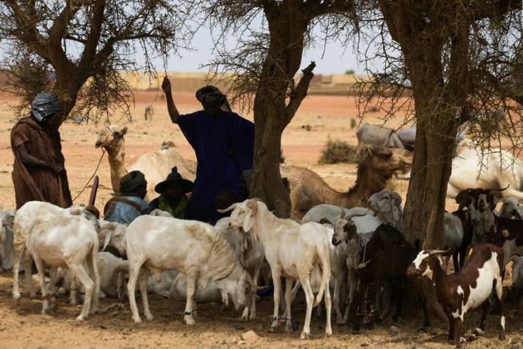 Mali has been struggling with a surge in jihadist violence but also from inter-communal bloodshed between hunters and herders