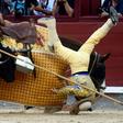 A picador falls from his horse during the San Isidro festival in Madrid