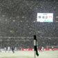 Thick snow on the pitch denied Hanover 96 a goal in their 3-2 home defeat against Bayer Leverkusen, which had to be briefly halted on Sunday to clear the pitch