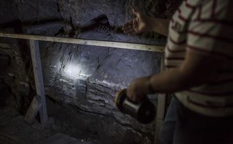 Fossils Are Filling Out the Human Family Tree