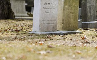 Black History Trail Makes 200 Stops Across Massachusetts