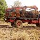 Police impounds 2 trucks of rosewood belonging to another Chinese national
