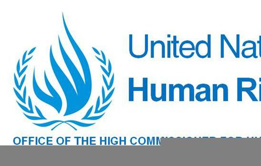 Office of the UN High Commissioner for Human Rights (OHCHR)