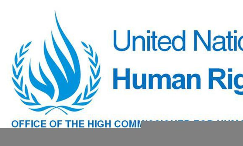 Office of the UN High Commissioner for Human Rights (OHCHR)