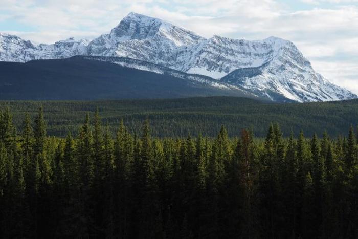 A view of Banff National Park in Canada, where the avalanche took place