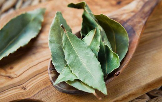 Bay leaves