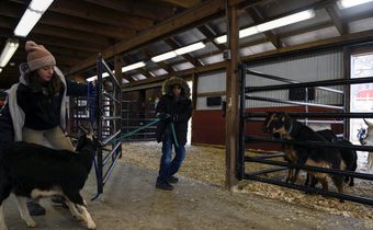 Lessons Learned, by Way of a Barn