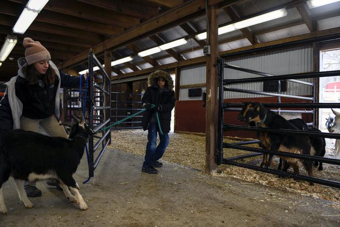 Lessons Learned, by Way of a Barn