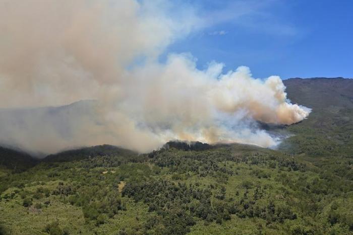 The forest blaze has destroyed more than 80,000 hectares