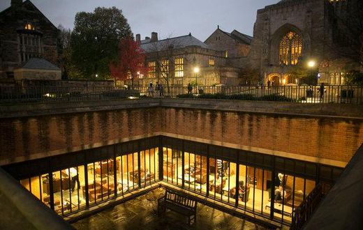 Getting in: Books that expose college admissions mania