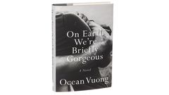 'On Earth We're Briefly Gorgeous' captures a young immigrant's troubles and ecstasies