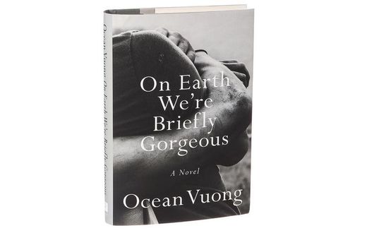 'On Earth We're Briefly Gorgeous' captures a young immigrant's troubles and ecstasies