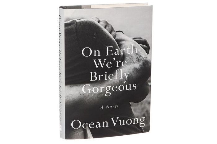 'On Earth We're Briefly Gorgeous' captures a young immigrant's troubles and ecstasies