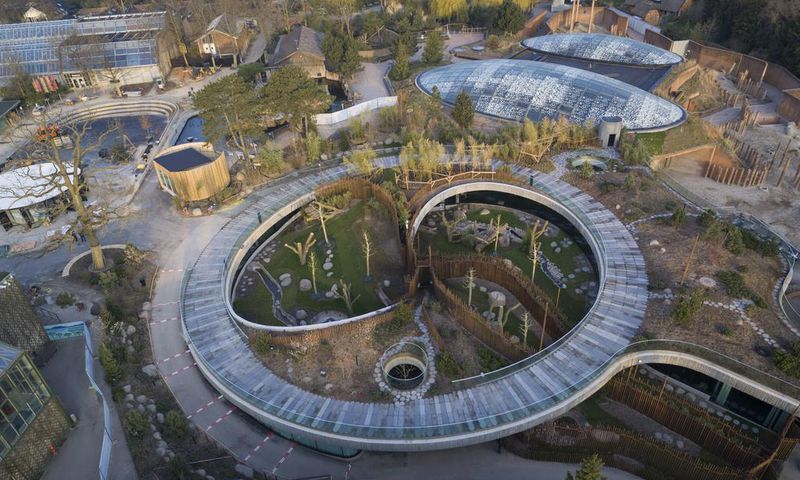 'Panda Diplomacy': A $24 Million Zoo Enclosure Angers Some