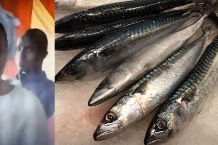 You can’t go to heaven unless you stop consuming vitamin C and Titus fish - pastor warns (video)