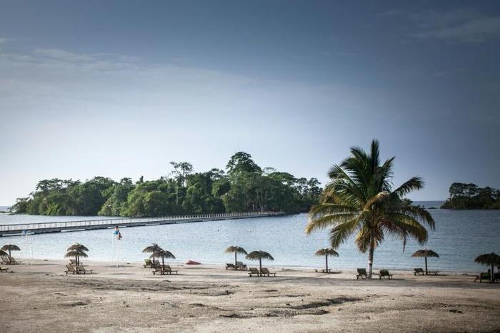 The town was carved out of an ancient forest in 2011 at a cost of 600 million euros ($670 million)