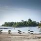 The town was carved out of an ancient forest in 2011 at a cost of 600 million euros ($670 million)