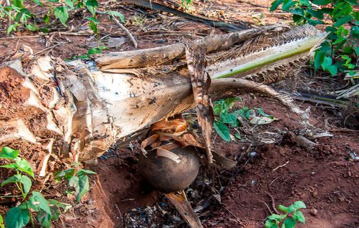 Palm wine tapper remanded for burning son’s feet over stew