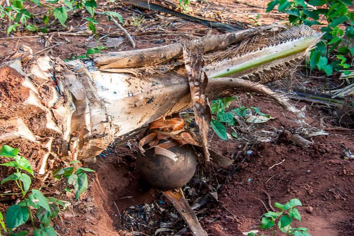 Palm wine tapper remanded for burning son’s feet over stew