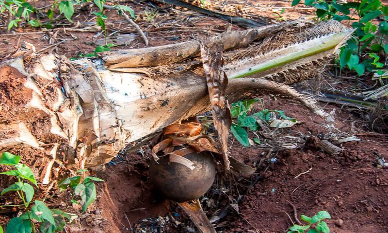 Palm wine tapper remanded for burning son’s feet over stew