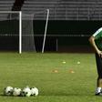 Belgium's Marc Wilmots to coach Iran