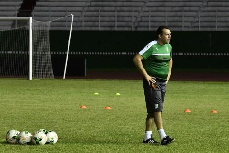 Belgium's Marc Wilmots to coach Iran
