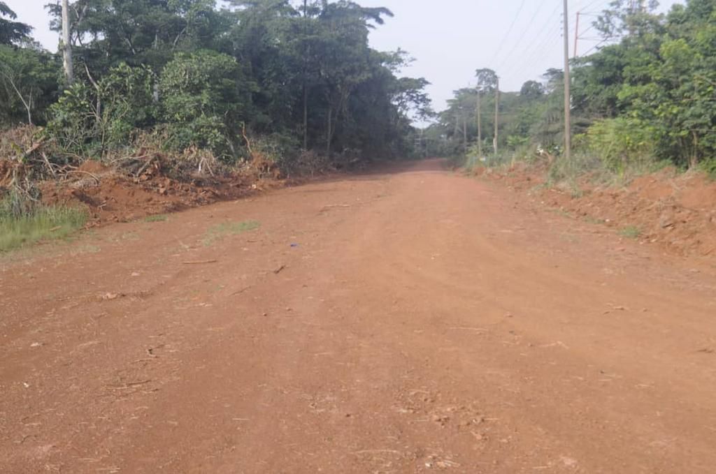 Paragliding site road