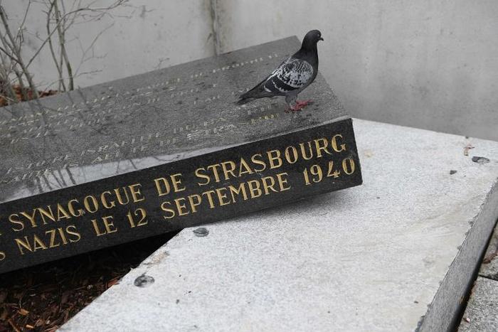 The memorial stone marking the site of Strasbourg's Old Synagogue was removed from its plinth by vandals on Friday night