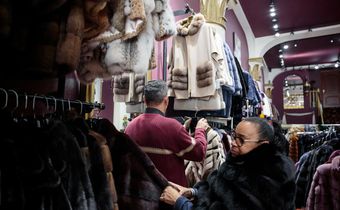 Proposed Fur Ban in New York Pits Animal Welfare Advocates Against Black Ministers