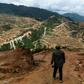 The report finds that three-quarters of land surfaces have been 'severely altered' by mankind including through deforestation