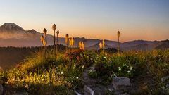 'Protecting' a wilderness, trammeling it, too