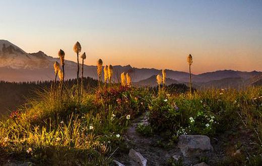 'Protecting' a wilderness, trammeling it, too