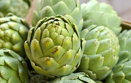 Are Artichokes Legit Healthy?