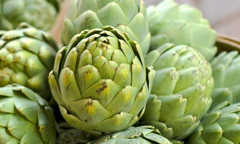 Are Artichokes Legit Healthy?