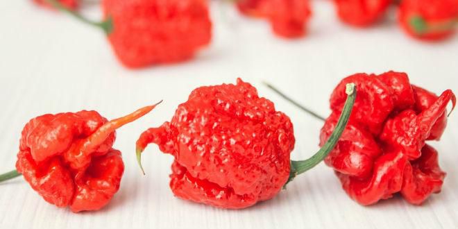 Carolina Reaper