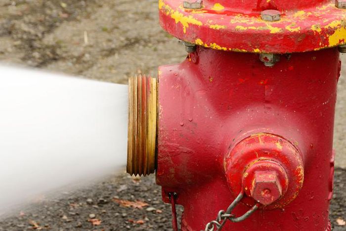 Dr. Pimple Popper Reveals Her Biggest Cyst Pops