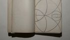 Pavlova's Shoes, Nijinsky's Diary, and Other Dance Treasures From the Public Library