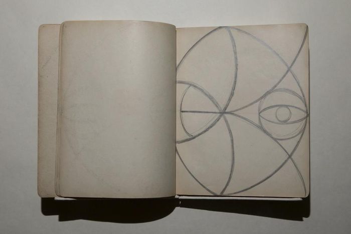 Pavlova's Shoes, Nijinsky's Diary, and Other Dance Treasures From the Public Library