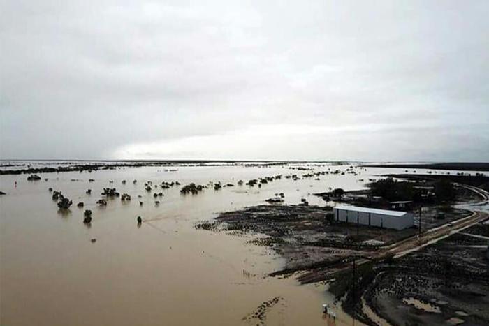 Heavy rains have flooded swathes of Queensland state, with the full scale of the devastation on drought-hit cattle stations becoming clearer as floodwaters recede