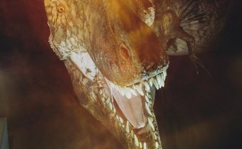 T. Rex Is Still Science's Biggest Star