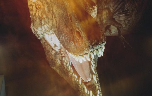 T. Rex Is Still Science's Biggest Star