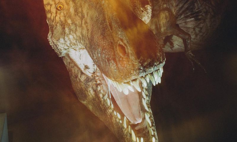 T. Rex Is Still Science's Biggest Star