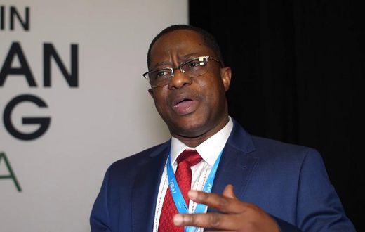 John Peter Amewu, Minister of Energy