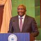 Vice President Dr. Mahamudu Bawumia