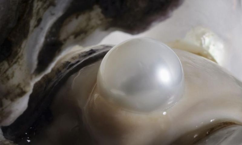 Dr. Pimple Popper Popped A 'Cute' Pilar Cyst