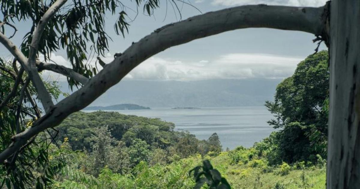 Idjwi, a haven of peace in DR Congo's conflict-ridden east | Pulse Ghana