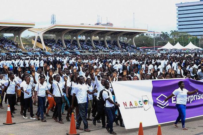 NABCo has been a success, says CEO