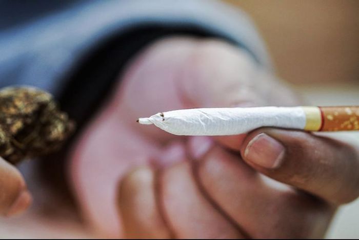 Marijuana Smokers Less Likely to Be Overweight