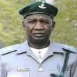 Bees attack and kill senior customs officer while on duty