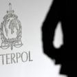 Interpol expects more arrests will follow as investigations continue, stemming from an operation into a site on the "dark web" that was launched two years ago